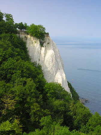 Foto Königsstuhl Kreidefelsen
