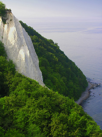 Königsstuhl Kreidefelsen Foto 
