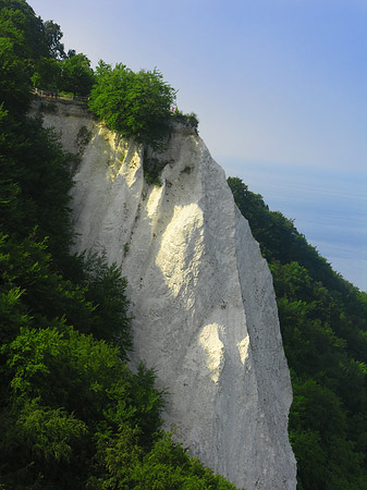 Königsstuhl Kreidefelsen
