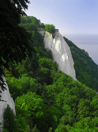 Königsstuhl Kreidefelsen Fotos