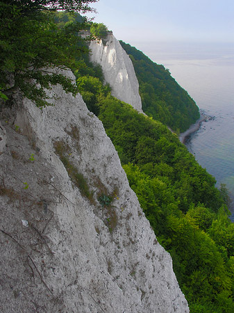Königsstuhl Kreidefelsen