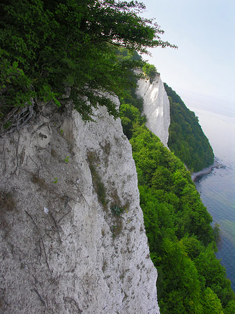 Fotos Königsstuhl Kreidefelsen | 