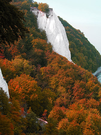 Königsstuhl Kreidefelsen Fotos