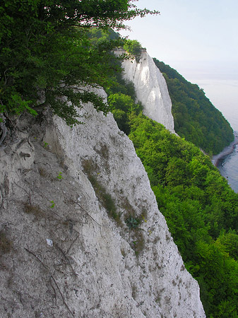 Foto Königsstuhl Kreidefelsen - 