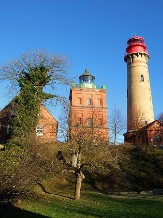 Bäume Fotos