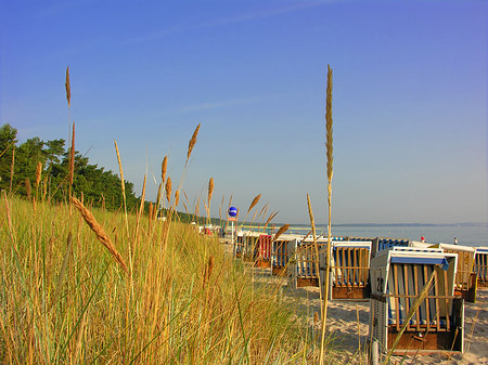 Fotos Dünen | Ostseebad Binz