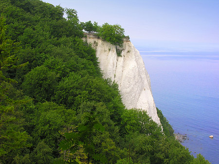Foto Königsstuhl Kreidefelsen - 