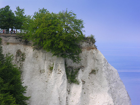 Königsstuhl Kreidefelsen Fotos