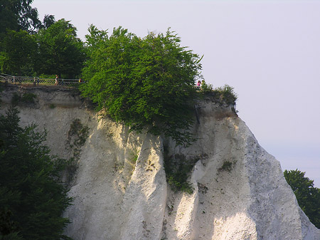 Fotos Königsstuhl Kreidefelsen