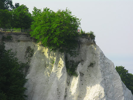 Königsstuhl Kreidefelsen Fotos