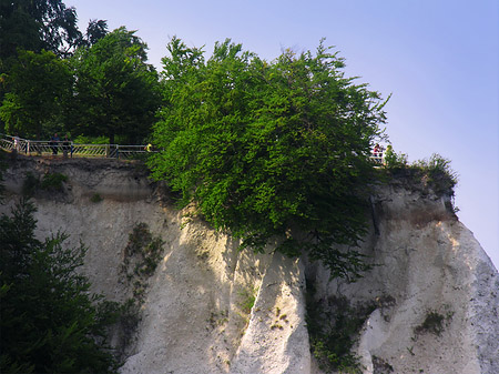 Foto Königsstuhl Kreidefelsen - 