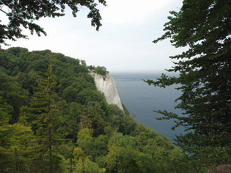 Foto Königsstuhl Kreidefelsen