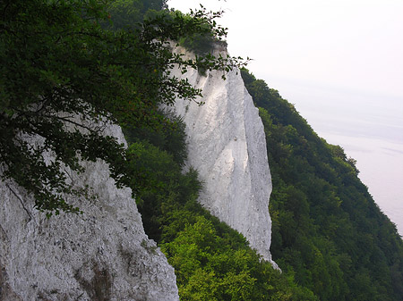 Königsstuhl Kreidefelsen Foto 