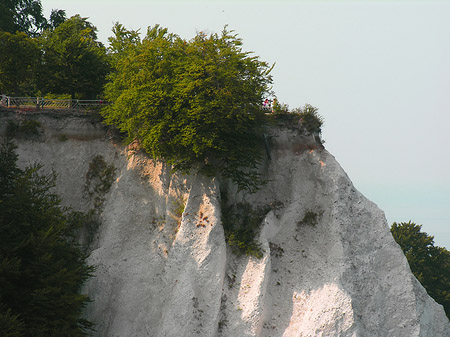 Fotos Königsstuhl Kreidefelsen | 