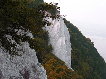 Königsstuhl Kreidefelsen