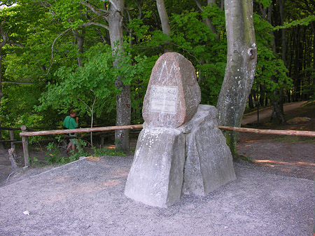 Foto Kreidefelsen