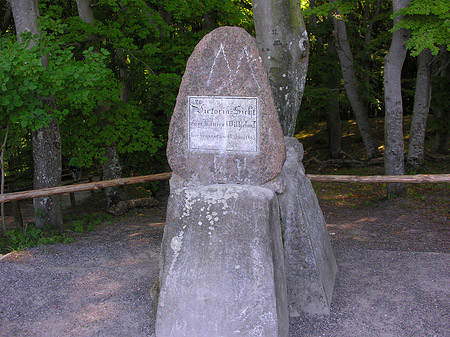 Foto Kreidefelsen - 