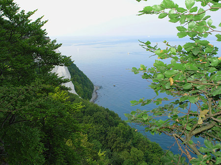 Fotos Kreidefelsen an der Ostsee