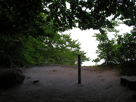 Foto Kreidefelsen Aussicht