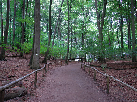 Kreidefelsen Wanderweg