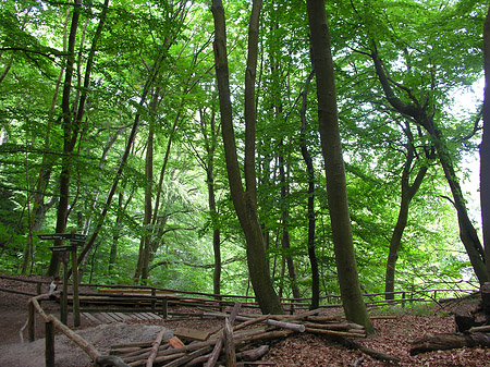 Fotos Kreidefelsen Wanderweg | 
