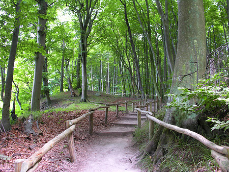 Foto Kreidefelsen Wanderweg