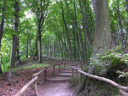 Kreidefelsen Wanderweg Foto 