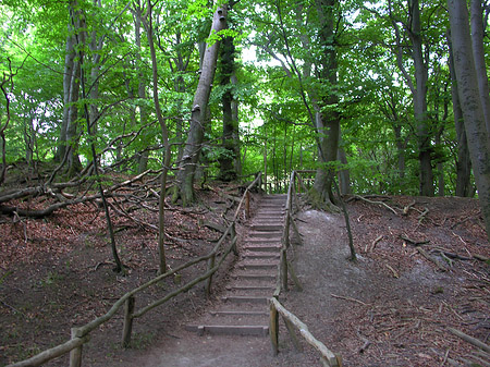 Fotos Kreidefelsen Wanderweg | 