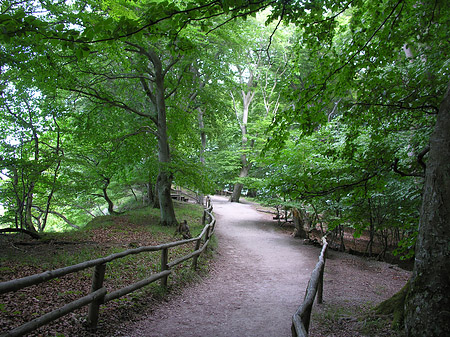 Kreidefelsen Wanderweg Foto 