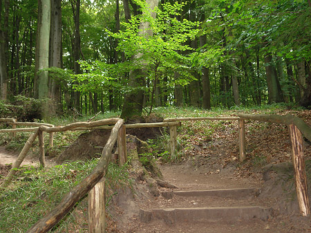 Kreidefelsen Wanderweg Fotos