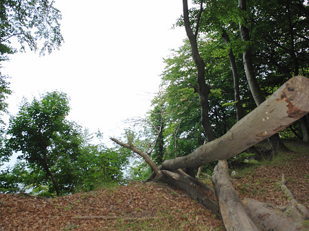 Fotos Kreidefelsen Wanderweg