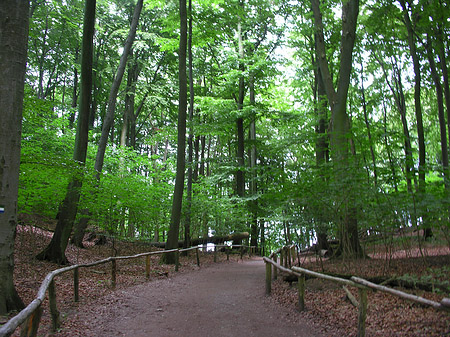 Fotos Kreidefelsen Wanderweg