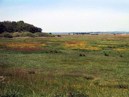 Fotos Landschaften von Thiessow