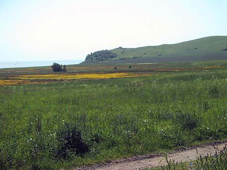 Landschaften von Thiessow