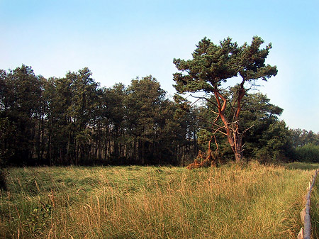 Fotos Trockene Landschaften