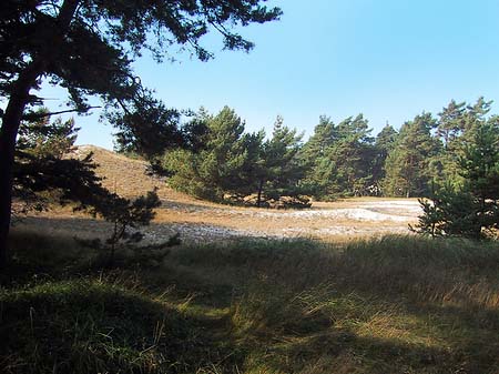 Trockene Landschaften Fotos