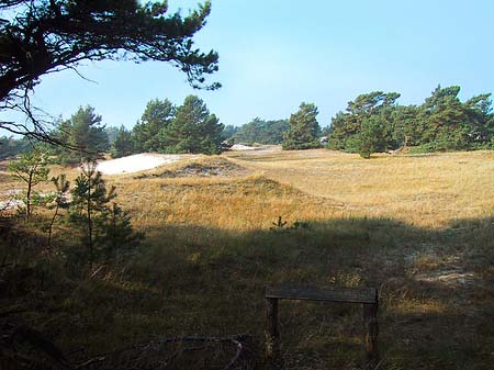 Foto Trockene Landschaften - 