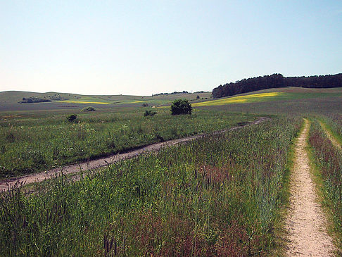 Fahrradwege durch die Natur Foto 