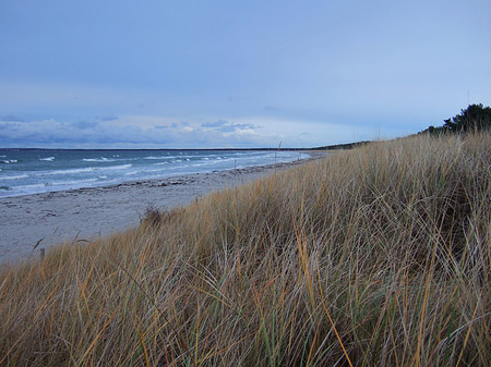 Dünen Foto 