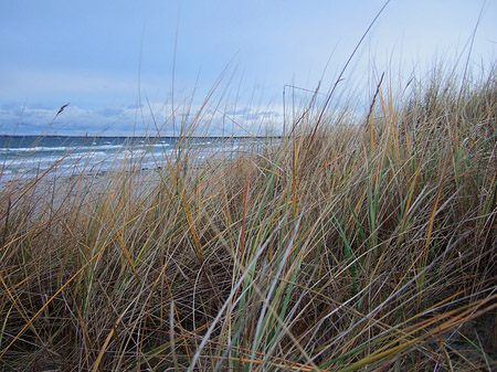 Dünen Fotos