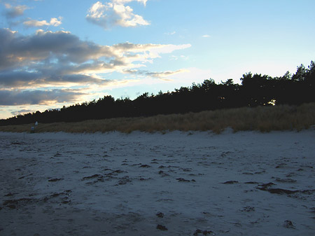 Dünen