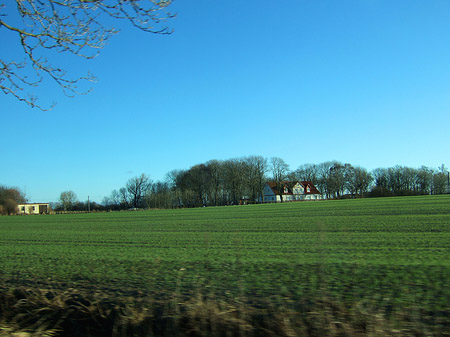 Feld Fotos