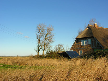Feld Fotos