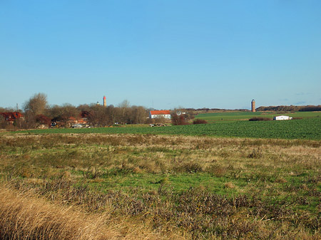 Fotos Feld