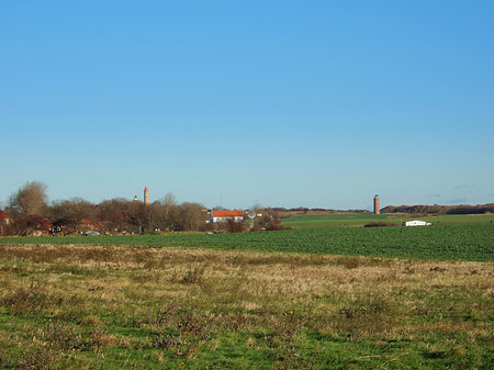 Fotos Feld | 