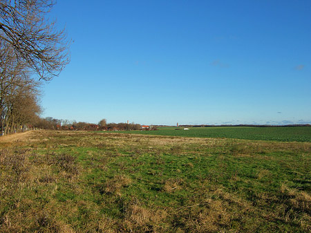 Foto Feld
