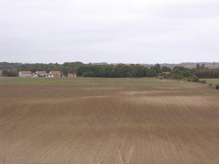 Fotos Feld | 