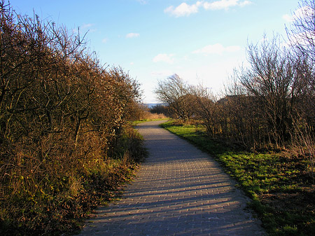 Straße zum Turm Fotos