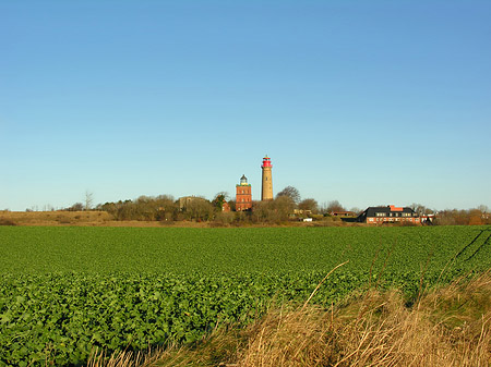 Fotos Turm aus der Ferne | 