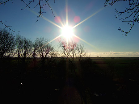 Sonne